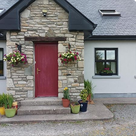 Country Lane Homestay Westport Kültér fotó